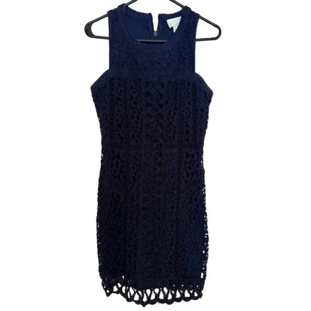 Greylin Navy Lace Mini Dress